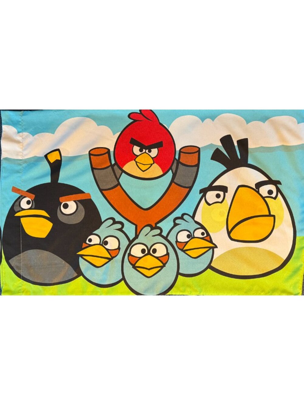 Angry Birds Pillow Case QUEEN Size 19.5"x30" Colourful Kids Bedroom Y2K